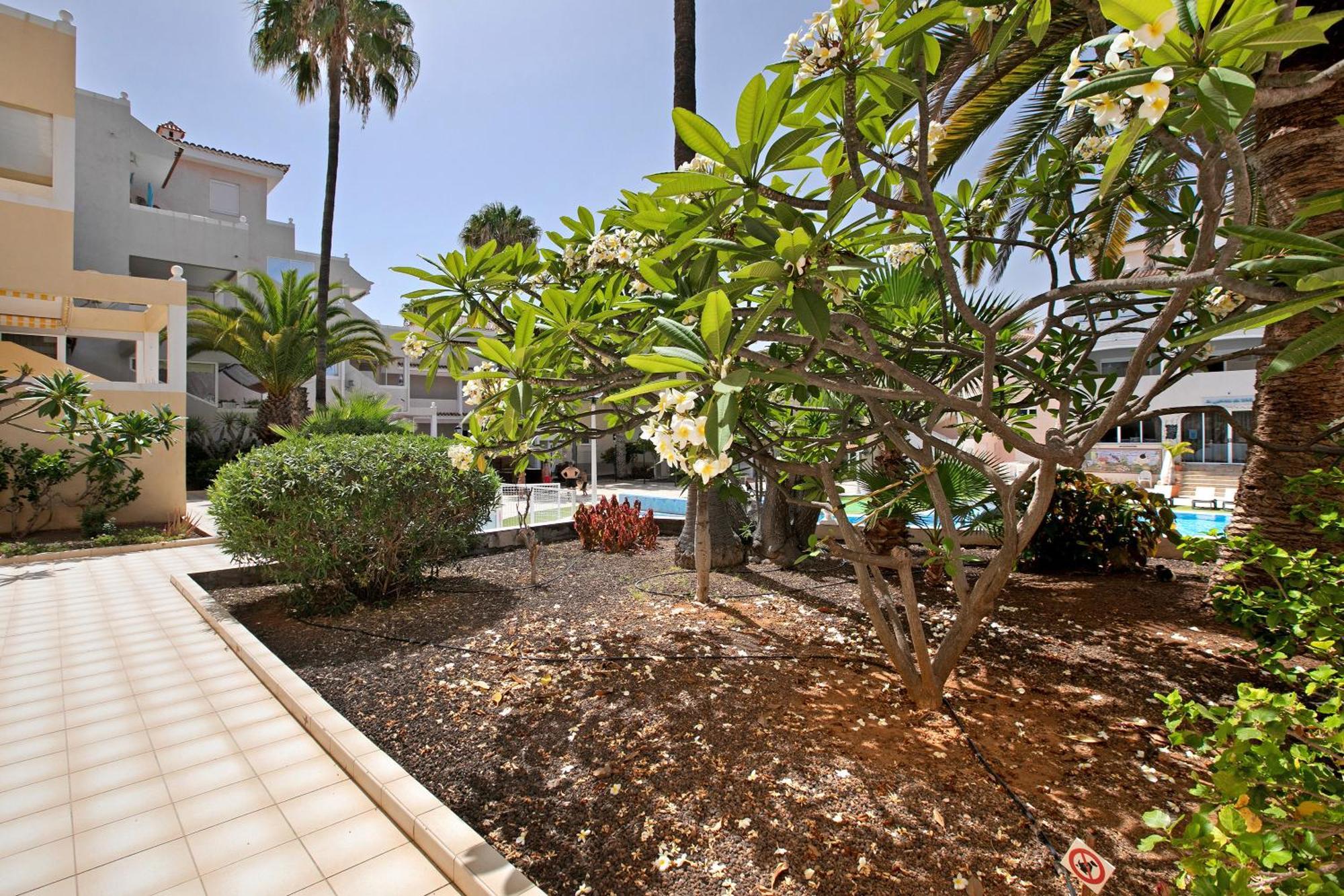 Ferienwohnung Breeze Island Chayofa Exterior foto
